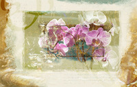 <a href="https://facebook.com/mariongrantart" target="_blank"><img alt="" src="/users/MarionGrant18089/facebook-20-bw.png" style="width: 20px; height: 20px;" /></a>&nbsp;&nbsp;<a href="https://instagram.com/mariongrantart" target="_blank"><img alt="" src="/users/MarionGrant18089/instagram-20-bw.png" style="width: 20px; height: 20px;" /></a>