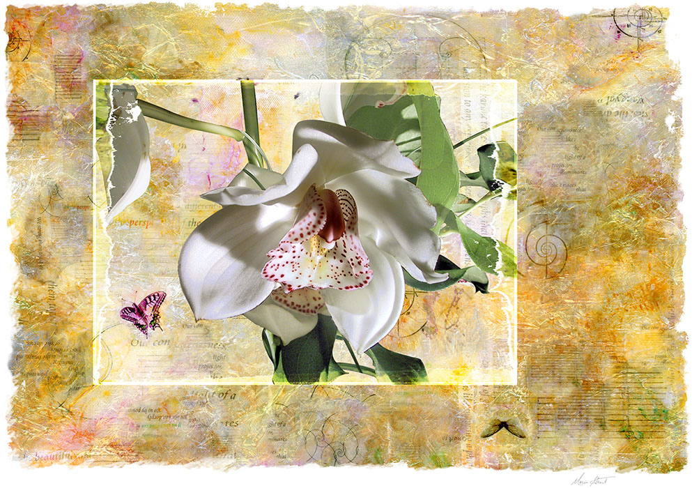 <center><em>Orchid Garden</em> (2012) 29"x40" (printed dimensions variable)</center></center></br>
<a href="/gallery.html?folio=Details%20II&sortNumber=1&gallery=Orchid%20Garden&skipno=0&loadedNumber=0" target="_parent">click for detail images</a></center>