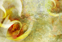 <a href="https://facebook.com/mariongrantart" target="_blank"><img alt="" src="/users/MarionGrant18089/facebook-20-bw.png" style="width: 20px; height: 20px;" /></a>&nbsp;&nbsp;<a href="https://instagram.com/mariongrantart" target="_blank"><img alt="" src="/users/MarionGrant18089/instagram-20-bw.png" style="width: 20px; height: 20px;" /></a>