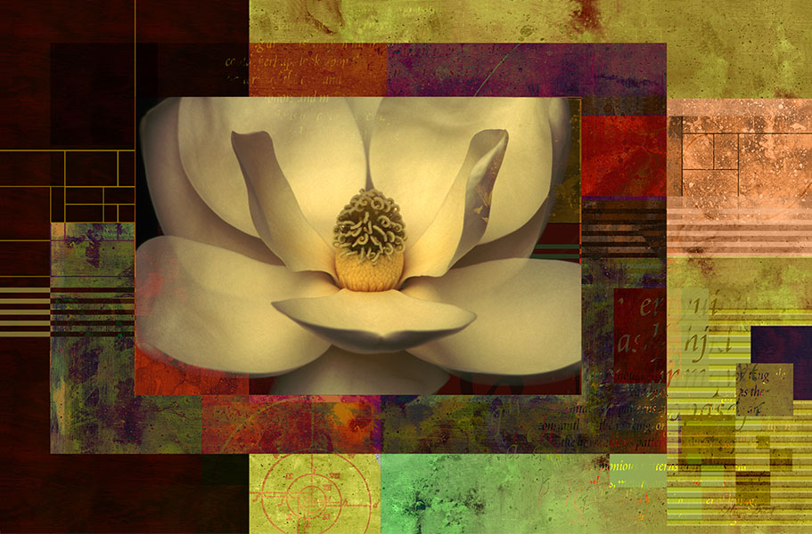 <center><em>Tulip Magnolia</em> (2006) 34"x51" (printed dimensions variable)</center>