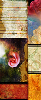 <a href="https://facebook.com/mariongrantart" target="_blank"><img alt="" src="/users/MarionGrant18089/facebook-20-bw.png" style="width: 20px; height: 20px;" /></a>&nbsp;&nbsp;<a href="https://instagram.com/mariongrantart" target="_blank"><img alt="" src="/users/MarionGrant18089/instagram-20-bw.png" style="width: 20px; height: 20px;" /></a>