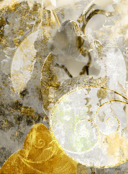 <center><em>Illumination Gray</em> (2009) 40"x30"<br/><br/>Fine art archival pigment print </center><br/></center>