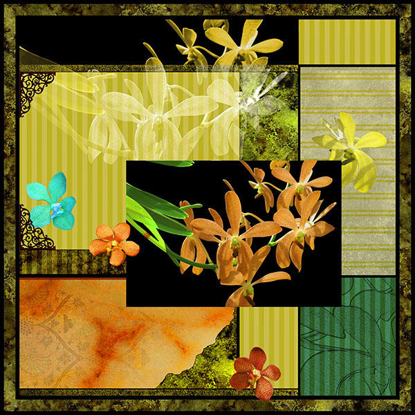 <center><em>Orchids</em> (2005) 40"x40" (printed dimensions variable)</center>