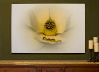 <a href="https://facebook.com/mariongrantart" target="_blank"><img alt="" src="/users/MarionGrant18089/facebook-20-bw.png" style="width: 20px; height: 20px;" /></a>&nbsp;&nbsp;<a href="https://instagram.com/mariongrantart" target="_blank"><img alt="" src="/users/MarionGrant18089/instagram-20-bw.png" style="width: 20px; height: 20px;" /></a>