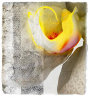 <a href="https://facebook.com/mariongrantart" target="_blank"><img alt="" src="/users/MarionGrant18089/facebook-20-bw.png" style="width: 20px; height: 20px;" /></a>&nbsp;&nbsp;<a href="https://instagram.com/mariongrantart" target="_blank"><img alt="" src="/users/MarionGrant18089/instagram-20-bw.png" style="width: 20px; height: 20px;" /></a>