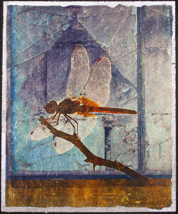 <center><em>Dragonfly</em> (2013) 15"x12"<br/>handmade translucent multi-layered acrylic surface with silver leaf <br/>
<br/></center>