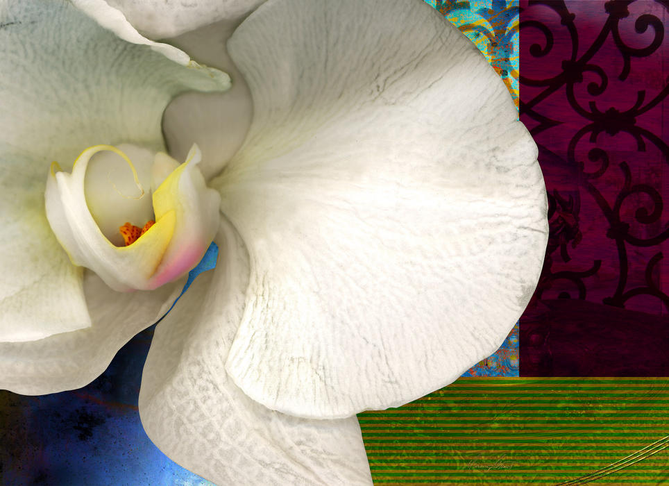 <center><em>Orchid Angelica</em> (2008) 37"x51"<br/>(printed dimensions variable)</center><br/></center>