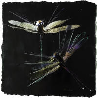 <a href="https://facebook.com/mariongrantart" target="_blank"><img alt="" src="/users/MarionGrant18089/facebook-20-bw.png" style="width: 20px; height: 20px;" /></a>&nbsp;&nbsp;<a href="https://instagram.com/mariongrantart" target="_blank"><img alt="" src="/users/MarionGrant18089/instagram-20-bw.png" style="width: 20px; height: 20px;" /></a>