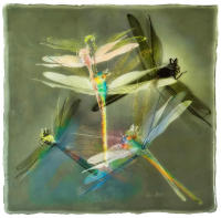 <a href="https://facebook.com/mariongrantart" target="_blank"><img alt="" src="/users/MarionGrant18089/facebook-20-bw.png" style="width: 20px; height: 20px;" /></a>&nbsp;&nbsp;<a href="https://instagram.com/mariongrantart" target="_blank"><img alt="" src="/users/MarionGrant18089/instagram-20-bw.png" style="width: 20px; height: 20px;" /></a>