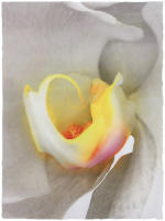 <a href="https://facebook.com/mariongrantart" target="_blank"><img alt="" src="/users/MarionGrant18089/facebook-20-bw.png" style="width: 20px; height: 20px;" /></a>&nbsp;&nbsp;<a href="https://instagram.com/mariongrantart" target="_blank"><img alt="" src="/users/MarionGrant18089/instagram-20-bw.png" style="width: 20px; height: 20px;" /></a>