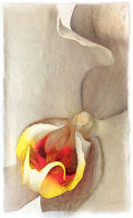 <a href="https://facebook.com/mariongrantart" target="_blank"><img alt="" src="/users/MarionGrant18089/facebook-20-bw.png" style="width: 20px; height: 20px;" /></a>&nbsp;&nbsp;<a href="https://instagram.com/mariongrantart" target="_blank"><img alt="" src="/users/MarionGrant18089/instagram-20-bw.png" style="width: 20px; height: 20px;" /></a>