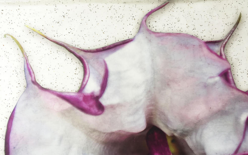 <center>Gateway to Eden (2019)  - Detail 3<br /><a href="/gallery.html?folio=Image%20Gallery&gallery=Flora%20and%20Fauna%20Alternative%20Media" target="_parent">Back to Gallery</a></center>