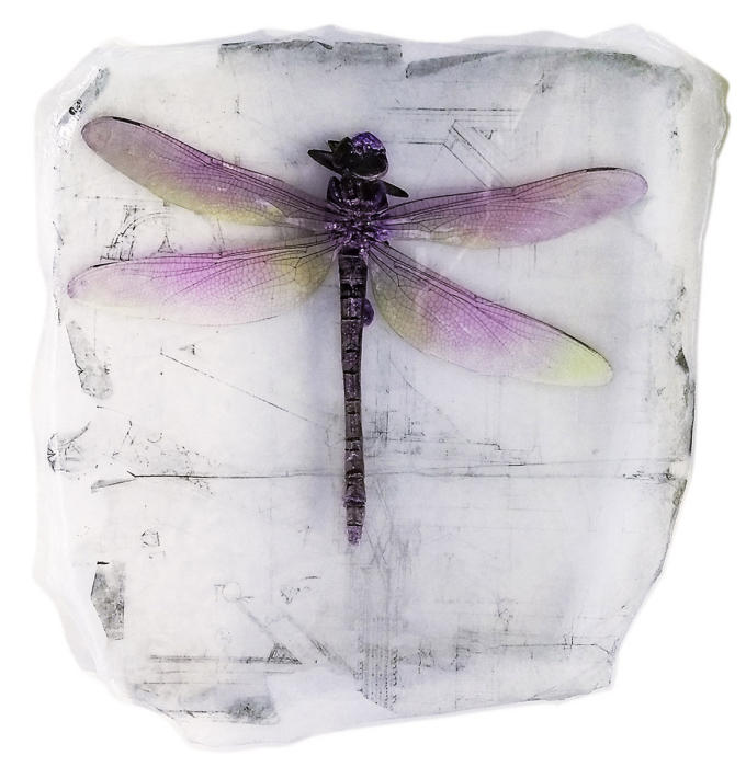 <center><em>Pink Dragonfly</em> (2018) 12"x11.5"<br/>handmade transparent multi-layered acrylic surface<br/>
<br/>
