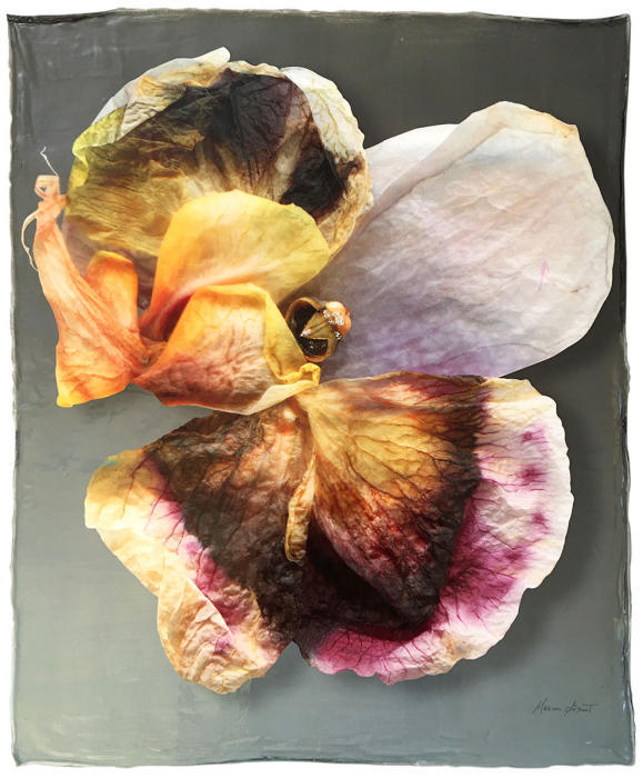 <center> <em>Unfurling Lumenesce</em> (2020) 21.5" x 17.5"<br/>alternative media on handmade translucent multi-layered acrylic surface
<br/><br/>
</center>

<a href="/gallery.html?folio=Details&sortNumber=&gallery=Unfurling%20Lumenesce&skipno=0&loadedNumber=0" target="_parent">click for detail image</a></center>