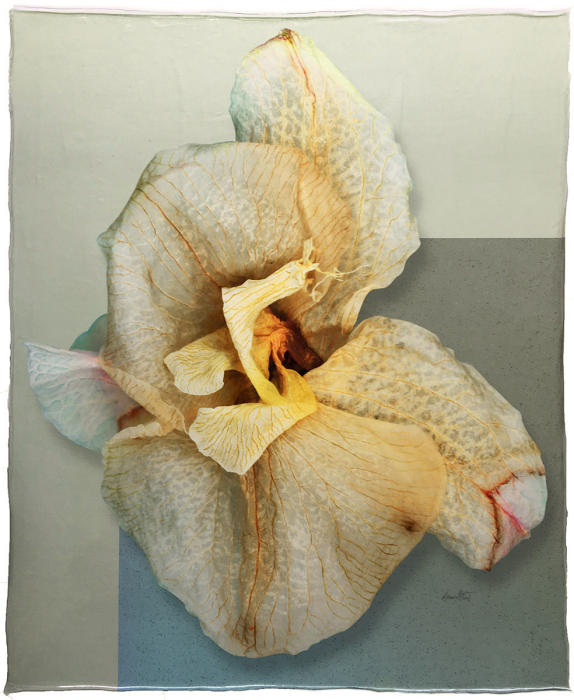 <center>Sage Lumenesce (2020) 27" x 22"</center><p><a href="/gallery.html?sortNumber=1&gallery=Lumenesce&skipno=0" target="_parent">Back to Gallery</a>