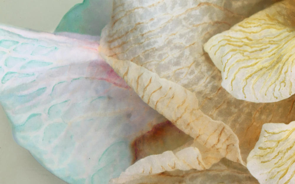 <center>Sage Lumenesce (2020) 27'' x 22" - Detail 1</center></br><p><a href="/gallery.html?sortNumber=7&gallery=Lumenesce&skipno=0" target="_parent">Back to Gallery</a>
