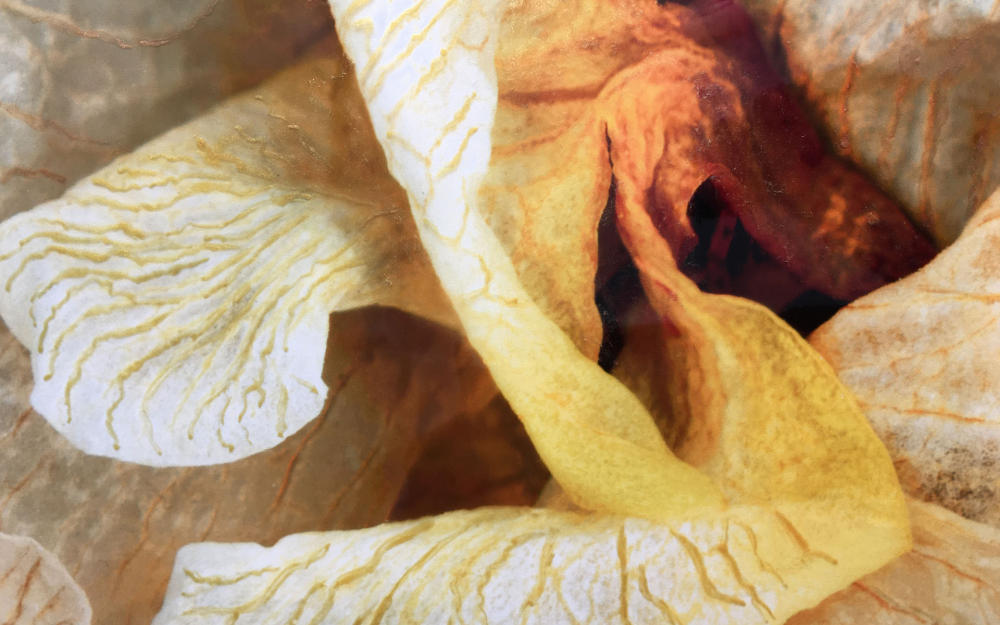 <center>Sage Lumenesce (2020) 27'' x 22" - Detail 3</center></br><p><a href="/gallery.html?sortNumber=7&gallery=Lumenesce&skipno=0" target="_parent">Back to Gallery</a>
