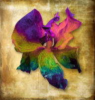 <a href="https://facebook.com/mariongrantart" target="_blank"><img alt="" src="/users/MarionGrant18089/facebook-20-bw.png" style="width: 20px; height: 20px;" /></a>&nbsp;&nbsp;<a href="https://instagram.com/mariongrantart" target="_blank"><img alt="" src="/users/MarionGrant18089/instagram-20-bw.png" style="width: 20px; height: 20px;" /></a>