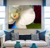 <a href="https://facebook.com/mariongrantart" target="_blank"><img alt="" src="/users/MarionGrant18089/facebook-20-bw.png" style="width: 20px; height: 20px;" /></a>&nbsp;&nbsp;<a href="https://instagram.com/mariongrantart" target="_blank"><img alt="" src="/users/MarionGrant18089/instagram-20-bw.png" style="width: 20px; height: 20px;" /></a>