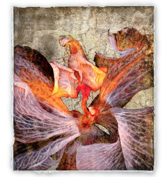 <center><em>Pompeii Orchid</em> (2024) 23'' x 20.5''<br/>Alternative media on handcrafted multi-layered acrylic<br/><br/></center><a href="/gallery.html?folio=Details&sortNumber=&gallery=Pompeii%20Orchid&skipno=0&loadedNumber=0" target="_parent">Click for detail image</a></center><br/><br/></center><a href="/gallery.html?sortNumber=4&gallery=One-of-a-kind%20Works&skipno=0" target="_parent">View this item in the shop</a></center>
