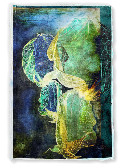 <center><em>Of the Indigo Vines I</em> (2024) 23.5'' x 15.5''<br/>Alternative media on handcrafted multi-layered acrylic
<br/><br/></center><a href="/gallery.html?folio=Details&sortNumber=&gallery=Of%20the%20Indigo%20Vines%20I&skipno=0&loadedNumber=0" target="_parent">Click for detail image</a></center>