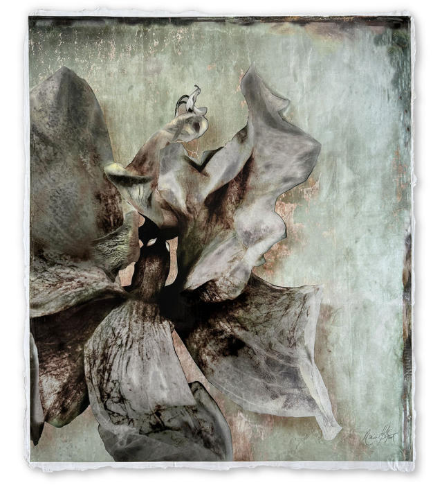 <center><em>Double Phoenix Sage</em> (2024) 23.5'' x 20'' <br/>Alternative media on handcrafted multi-layered acrylic
<br/><br/></center><a href="/gallery.html?folio=Details&sortNumber=&gallery=Phoenix%20Rising%20Sage%20I&skipno=0&loadedNumber=0" target="_parent">Click for detail image</a></center><br/><br/></center><a href="/gallery.html?folio=&sortNumber=5&gallery=One-of-a-kind%20Works&skipno=0&loadedNumber=0" target="_parent">View this item in the shop</a></center>