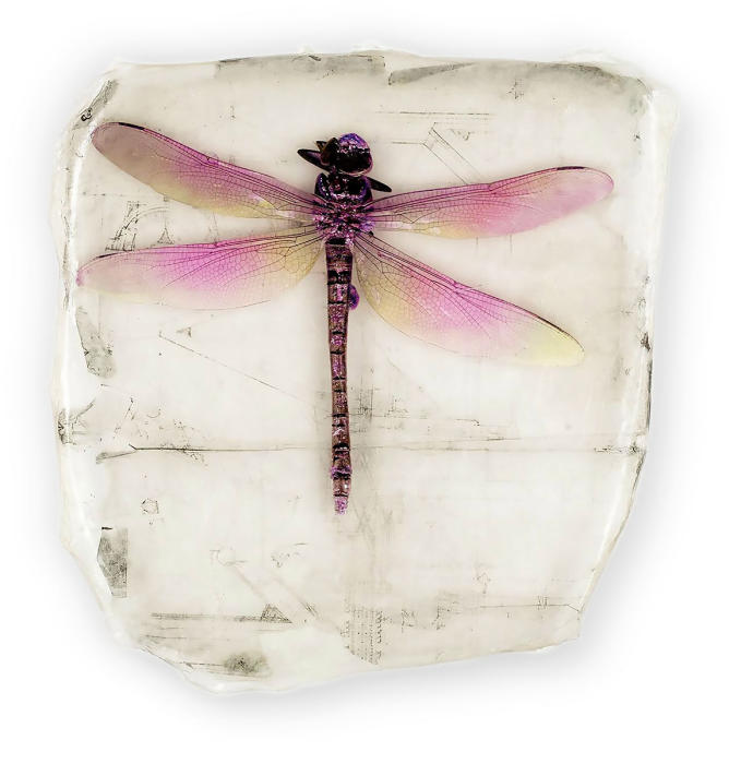 <center><em>Pink Dragonfly</em> (2018) 12"x11.5" <br/>Alternative media on handcrafted multi-layered acrylic
<br/><br/></center><a href="/gallery.html?folio=Details&sortNumber=1&gallery=Pink%20Dragonfly&skipno=0&loadedNumber=0" target="_parent">Click for image of framed piece</a></center><br/><br/></center><a href="/gallery.html?sortNumber=9&gallery=One-of-a-kind%20Works&skipno=0" target="_parent">View this item in the shop</a></center>