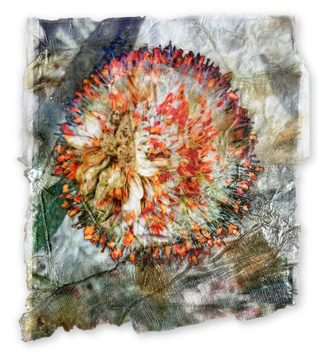 <center><em>Glowing Blossom </em>(2024) 13" x 11"<br/>Alternative media on handcrafted multi-layered surface.
<br/><br/>The work is shipped framed and ready to hang. For pricing inquiries please contact me directly, marion@mariongrant.com<br/><br/></center><a href="/gallery.html?folio=Details&sortNumber=&gallery=Glowing%20Blossom&skipno=0&loadedNumber=0" target="_parent">Click for detail image</a>