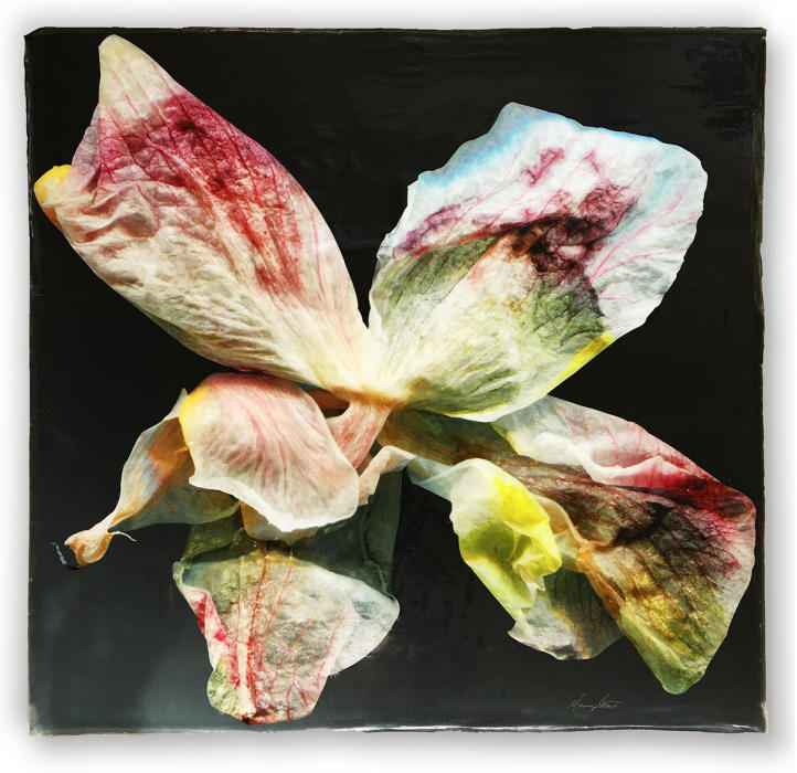 <center><em>Satin Lumenesce</em> (2020) 22" x 22"<br/>Alternative media on handcrafted multi-layered silver metallic gel acrylic with a varnish finish.
<br/><br/>The work is shipped framed and ready to hang. For pricing inquiries please contact me directly, marion@mariongrant.com<br/><br/></center><a href="/gallery.html?folio=Details&sortNumber=&gallery=Satin%20Lumenesce&skipno=0&loadedNumber=0" target="_parent">Click for detail image</a></center>