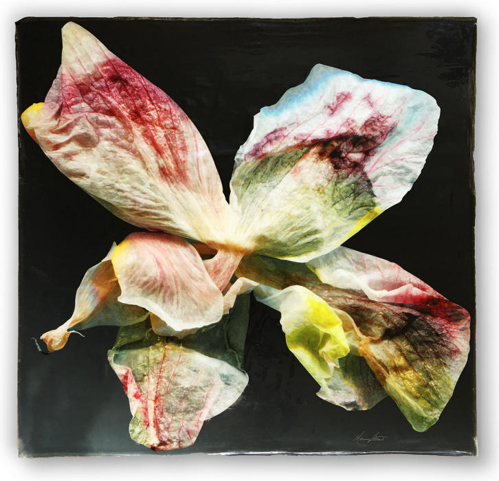<center><em>Satin Lumenesce</em> (2020) 22" x 22"<br/>Alternative media on handcrafted multi-layered acrylic
<br/><br/>
</center><a href="/gallery.html?folio=Details&sortNumber=&gallery=Satin%20Lumenesce&skipno=0&loadedNumber=0" target="_parent">Click for detail image</a></center><br/><br/></center><a href="/gallery.html?sortNumber=7&gallery=One-of-a-kind%20Works&skipno=0" target="_parent">View this item in the shop</a></center>