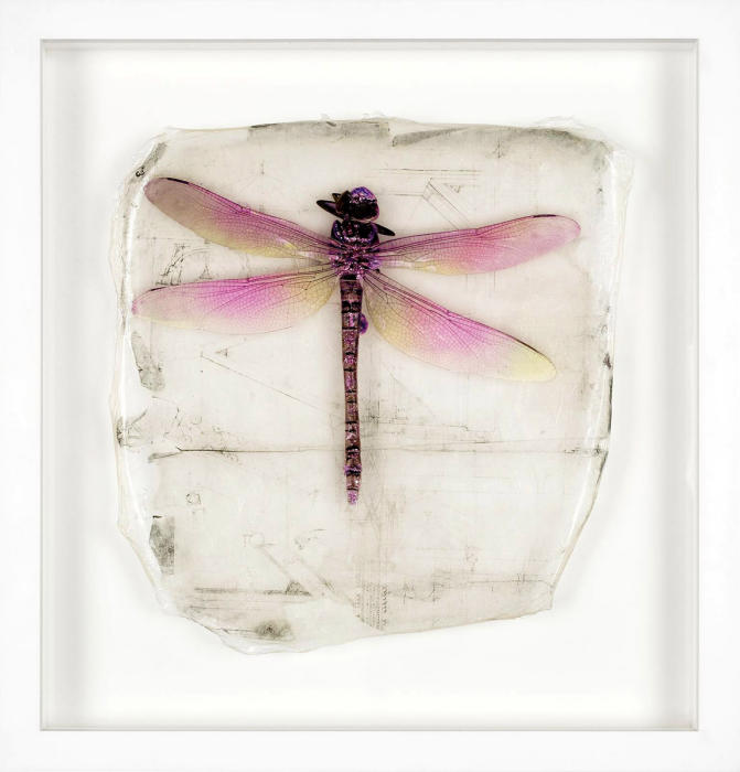 <center>Pink Dragonfly (2018) 12"x11.5" </center><br/><p><a href="/gallery.html?sortNumber=3&gallery=Early%20Alternative%20Media&skipno=0" target="_parent">Back to gallery</a><br/><br/></center><a href="/gallery.html?sortNumber=9&gallery=One-of-a-kind%20Works&skipno=0" target="_parent">View this item in the shop</a></center>